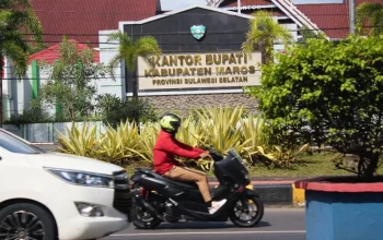 Pemkab Maros Setop Gaji 12 ASN karena Mangkir Kerja 6 Pemkab Maros