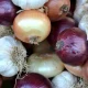 Rahasia Sehat Bawang Merah dan Bawang Putih: Bumbu Dapur yang Kaya Manfaat