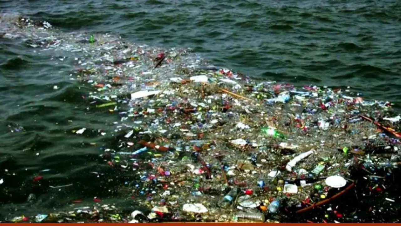 Dinkes Makassar Ingatkan Bahaya Polusi Plastik bagi Ekosistem Laut