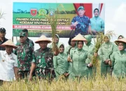Dukung Ketahanan Pangan, Kodam XIV/Hasanuddin Gelar Panen Raya Padi di Pangkep