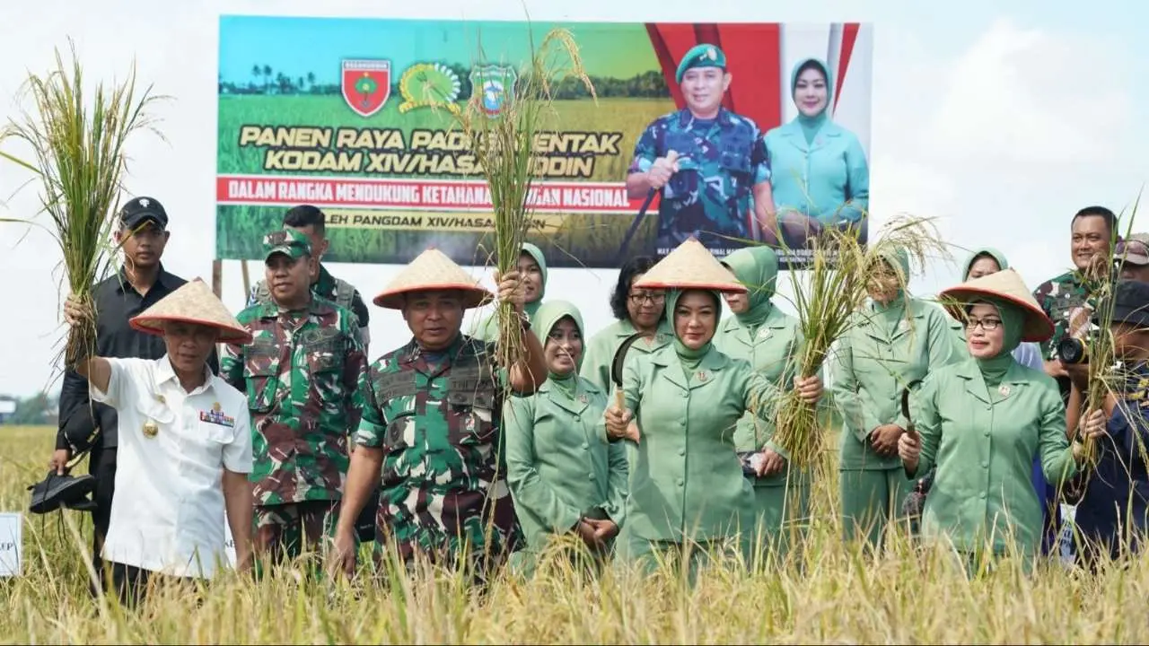 Dukung Ketahanan Pangan, Kodam XIV/Hasanuddin Gelar Panen Raya Padi di Pangkep