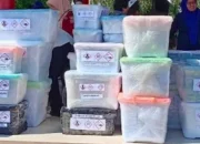 Dinkes Makassar Dukung Penarikan Alat Kesehatan Bermerkuri di Sulsel