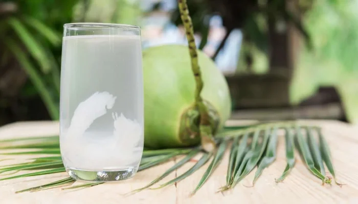 Dinkes Makassar Jelaskan Manfaat Air Kelapa untuk Kesehatan