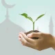 Green Sukuk: Strategi Inovatif dalam Kebijakan Luar Negeri Ramah Lingkungan