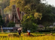 Pengaruh Adat Toraja dalam Sektor Internasional dan Kebijakan Luar Negeri