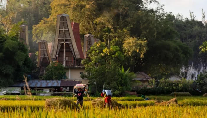 Pengaruh Adat Toraja dalam Sektor Internasional dan Kebijakan Luar Negeri