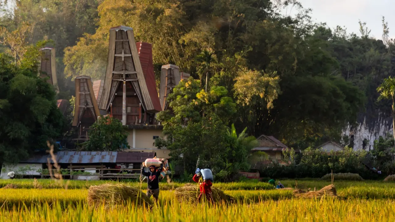 Pengaruh Adat Toraja dalam Sektor Internasional dan Kebijakan Luar Negeri
