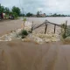 Banjir Rendam Ribuan Hektar Sawah di Tanadidi dan Bontolabbu, Petani Maros Terancam Merugi