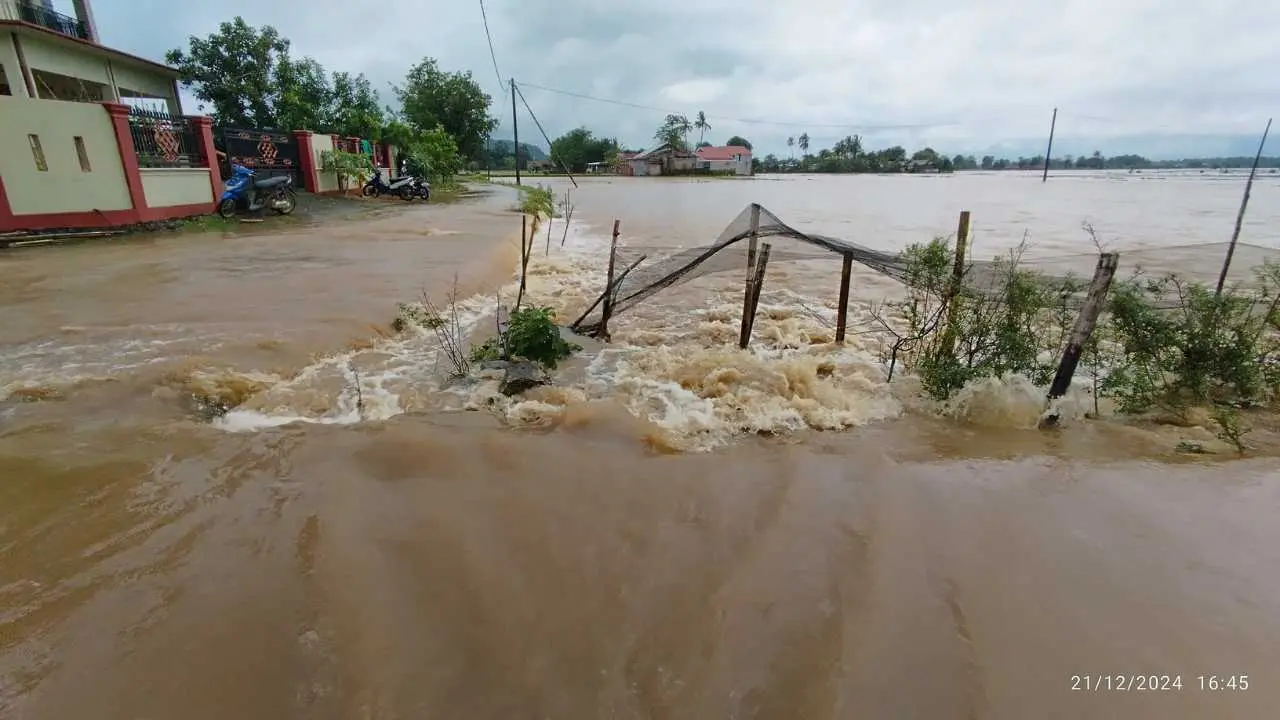 Banjir Rendam Ribuan Hektar Sawah di Tanadidi dan Bontolabbu, Petani Maros Terancam Merugi