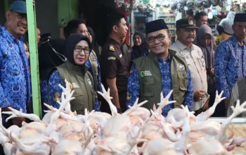 Antisipasi Lonjakan Harga, DKP Makassar Gencar Pantau Pasar Jelang Nataru 5 Antisipasi Lonjakan Harga, DKP Makassar Gencar Pantau Pasar Jelang Nataru