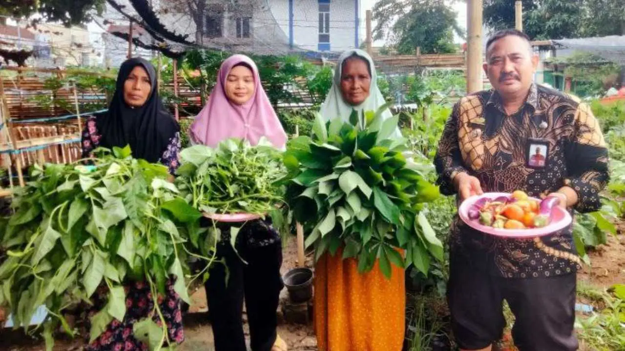 Panen Raya di Kebun Raya Kampung Buyang, Warga Antusias Petik Hasil Tanaman