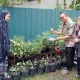 Dinas Ketapang Makassar Panen Bersama KWT Humaira, Dorong Ketahanan Pangan Lokal