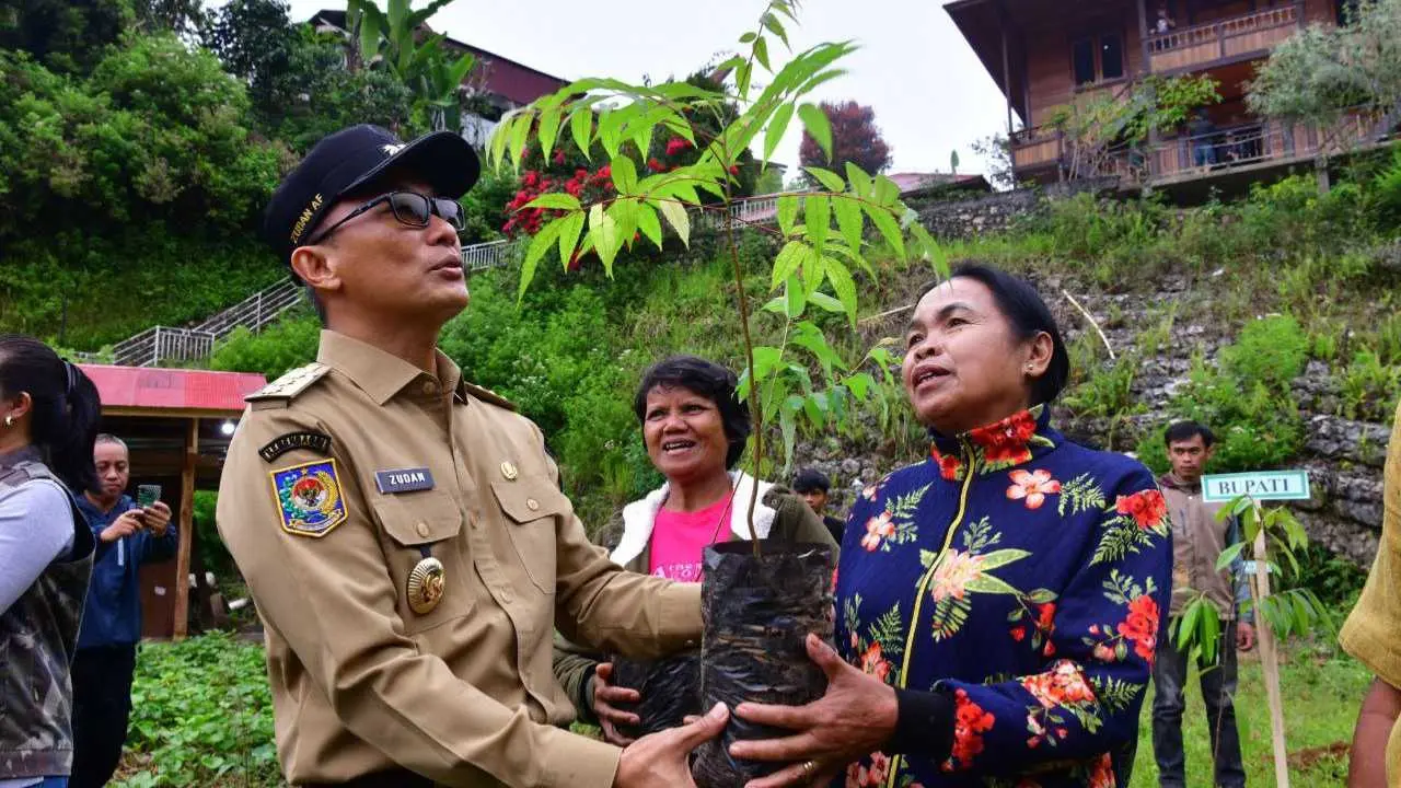 Hijaukan Bumi, Sulsel Tanam 12,5 Juta Pohon untuk Jaga Keseimbangan Ekosistem