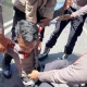 Polisi Terluka Saat Amankan Unjuk Rasa Mahasiswa Papua di Makassar