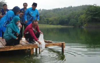 Pemprov Sulsel Salurkan 5 Juta Benih Ikan untuk Dukung Nelayan dan Ketahanan Pangan 7 Pemprov Sulsel Salurkan 5 Juta Benih Ikan untuk Dukung Nelayan dan Ketahanan Pangan
