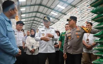 Danny Pomanto Dampingi Pj Gubernur Sulsel Cek Ketersediaan Cadangan Beras di Bulog