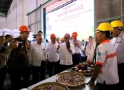 Wali Kota Makassar Dukung Penuh Program Pusat Terkait ketahanan Pangan