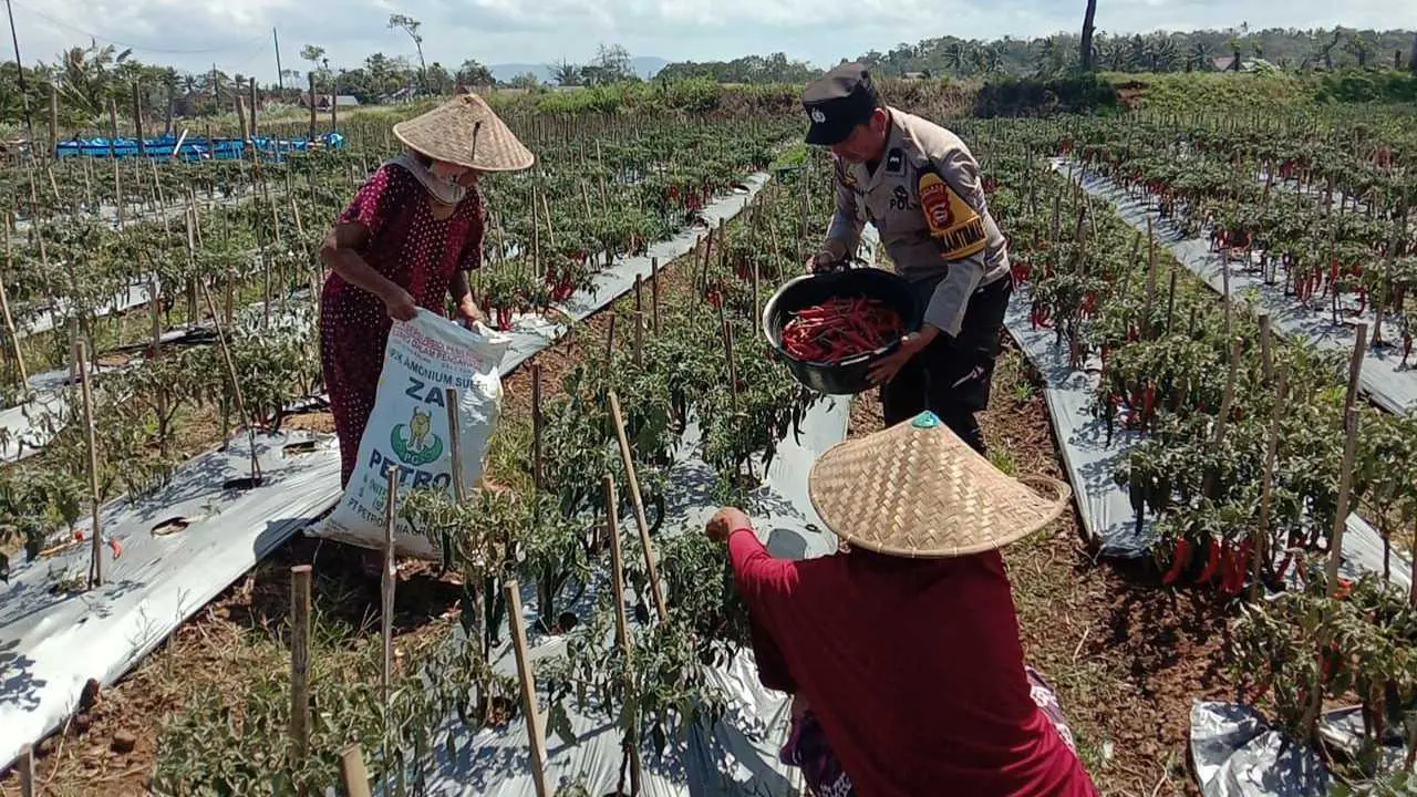 Dukung Ketahanan Pangan Nasional, Bhabinkamtibmas Ajak Warga Manfaatkan Lahan Pekarangan