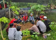 Mahasiswa KKN Unhas Ciptakan Apotek Hidup di Pondok Pesantren, Bantu Masyarakat Dengan Tanaman Obat Herbal