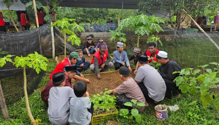 Mahasiswa KKN Unhas Ciptakan Apotek Hidup di Pondok Pesantren, Bantu Masyarakat Dengan Tanaman Obat Herbal