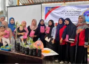 Mahasiswa KKN UNHAS Ajari Warga Kelurahan Bumi Harapan Membuat Hidroponik Sayur Menggunakan Botol Bekas