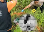 Warga Kola-kolasa Jeneponto Digegerkan Penemuan Sesosok Mayat Wanita di Persawahan