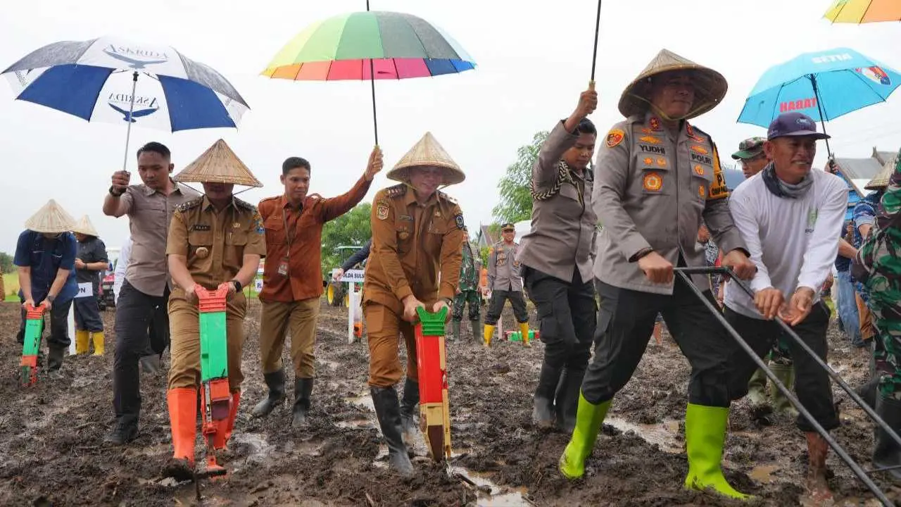 Sulsel Ikut Gerakan Nasional Tanam Jagung 1 Juta Hektare, Pj Gubernur dan Forkopimda Turun Langsung di Jeneponto