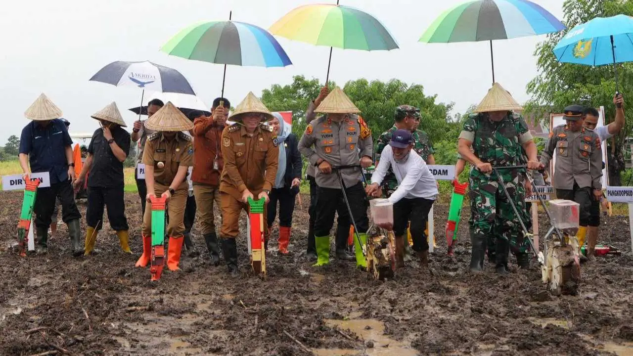 Sulsel Ikut Gerakan Nasional Tanam Jagung 1 Juta Hektare, Pj Gubernur dan Forkopimda Turun Langsung di Jeneponto