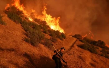 Petugas Damkar Masih Berjuang Padamkan Api di LA, Korban Tewas Capai 16 Orang