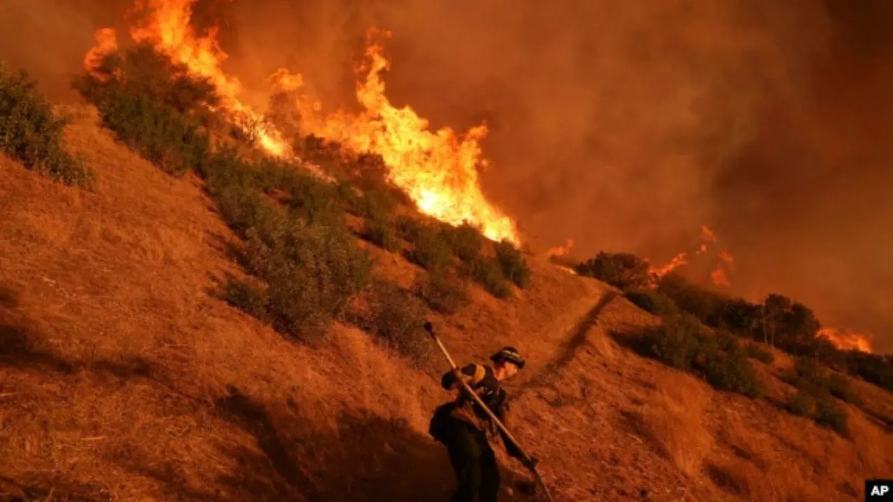 Petugas Damkar Masih Berjuang Padamkan Api di LA, Korban Tewas Capai 16 Orang