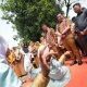 Sukseskan Program Prioritas Presiden Prabowo, Prof Fadjry Djufry Pastikan Program Makan Bergizi Gratis di 8 Kabupaten Berjalan Lancar