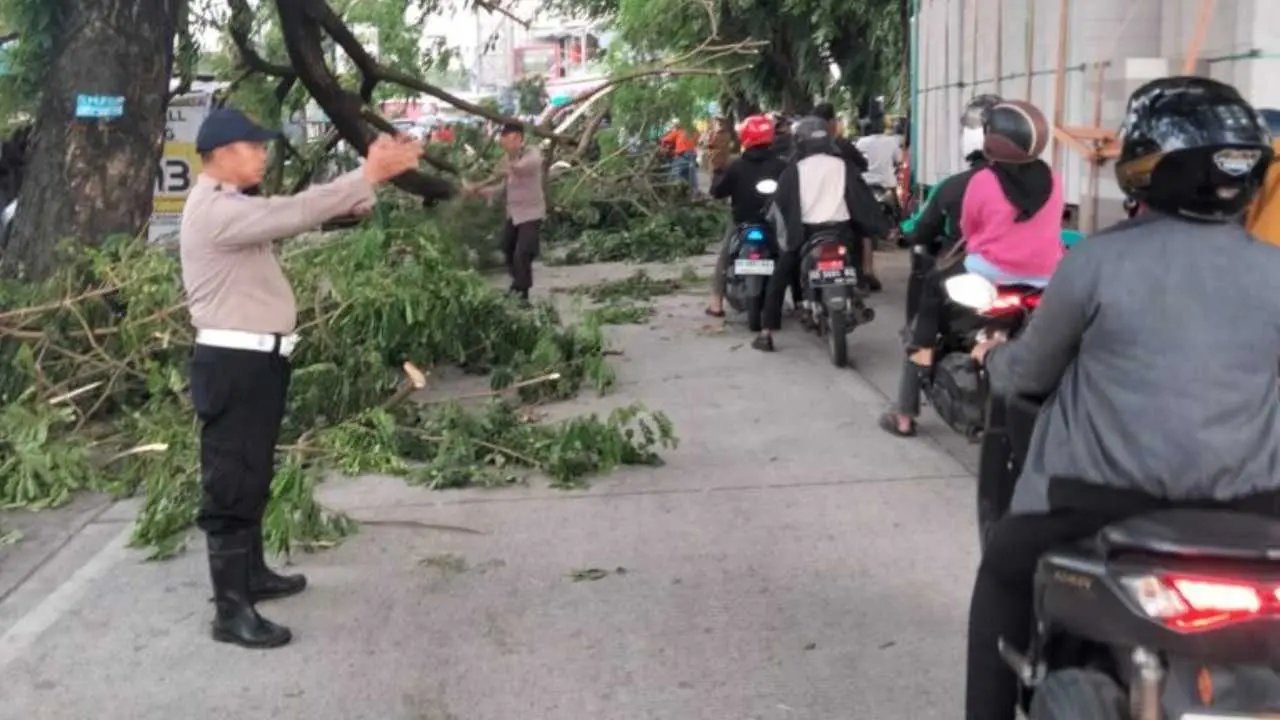 Pohon Tumbang Tutup Akses Jalan Antang Raya, Polsek Manggala Gerak Cepat Evakuasi