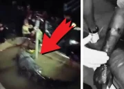 Pawang Buaya di Gowa Digigit Hewan yang Dianggap Kerabat, Alami Luka Serius