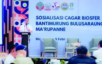 Wakil Bupati Barru Buka Sosialisasi Cagar Biosfer Bantimurung Bulusaraung 4 28 20250227 165032 0008