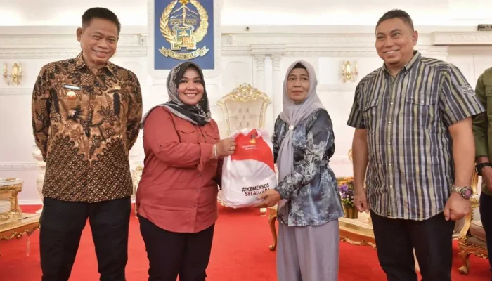 Pj Gubernur Sulsel dan Kemensos Salurkan 3.000 Paket Bantuan untuk Korban Banjir