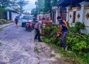 Bhabinkamtibmas dan Warga Bersatu Evakuasi Pohon Tumbang di Makassar
