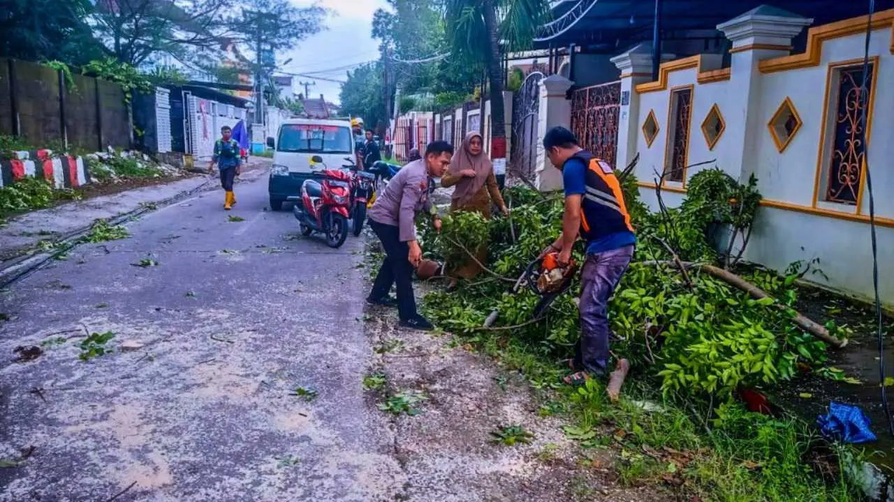 Bhabinkamtibmas dan Warga Bersatu Evakuasi Pohon Tumbang di Makassar
