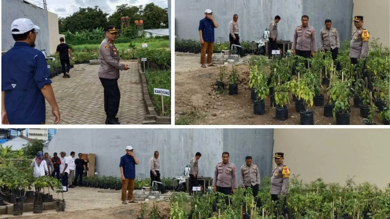 Sinergi Polsek Tamalate, Tripika, dan Masyarakat Manfaat Lahan Kosong Produktif untuk Ketahanan Pangan