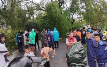 Pohon Tumbang Lumpuhkan Poros Bantimurung, Warga Diimbau Waspada! 4 Pohon Tumbang Lumpuhkan Poros Bantimurung, Warga Diimbau Waspada!
