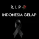 Efisiensi Anggaran, Indonesia Gelap?