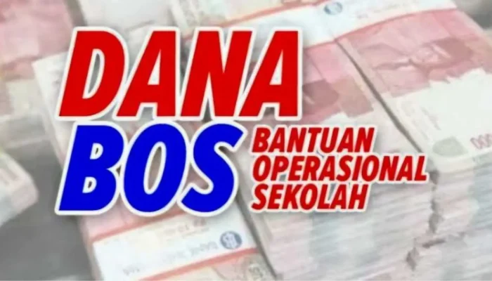 Pencairan Dana BOS Jeneponto Tersendat, Kepala Sekolah Keluhkan Sistem CMS yang Rumit