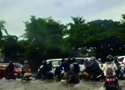 Waspada! Ini Tips Aman Menghadapi Banjir dengan Mobil Anda