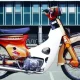 Legenda Jalanan: Honda Super Cub C700 & C800, Motor Bebek Langka yang Kini Jadi Buruan Kolektor