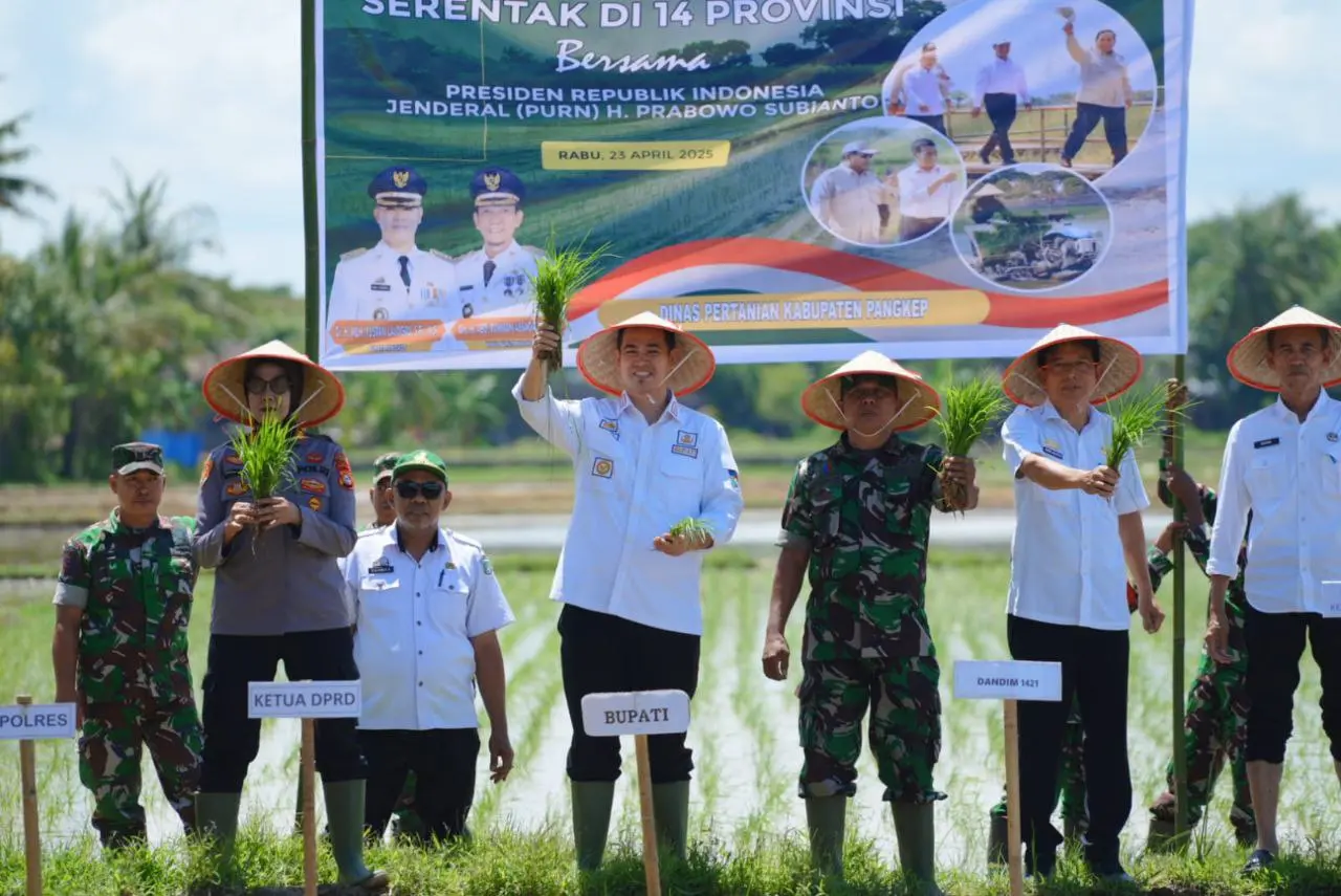 Bupati Pangkep Turun Sawah, Tanam Padi Serentak Dukung Swasembada Pangan Nasional