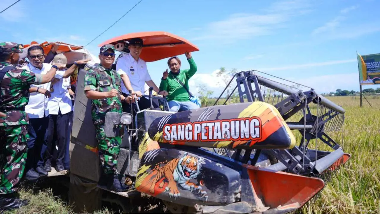 Bupati MYL Panen Raya Padi Musim Tanam Pertama: 16.832 Hektare Siap Dipanen