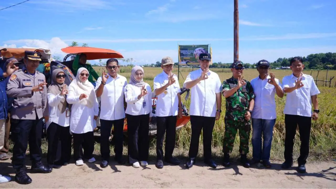 Bupati MYL Panen Raya Padi Musim Tanam Pertama: 16.832 Hektare Siap Dipanen
