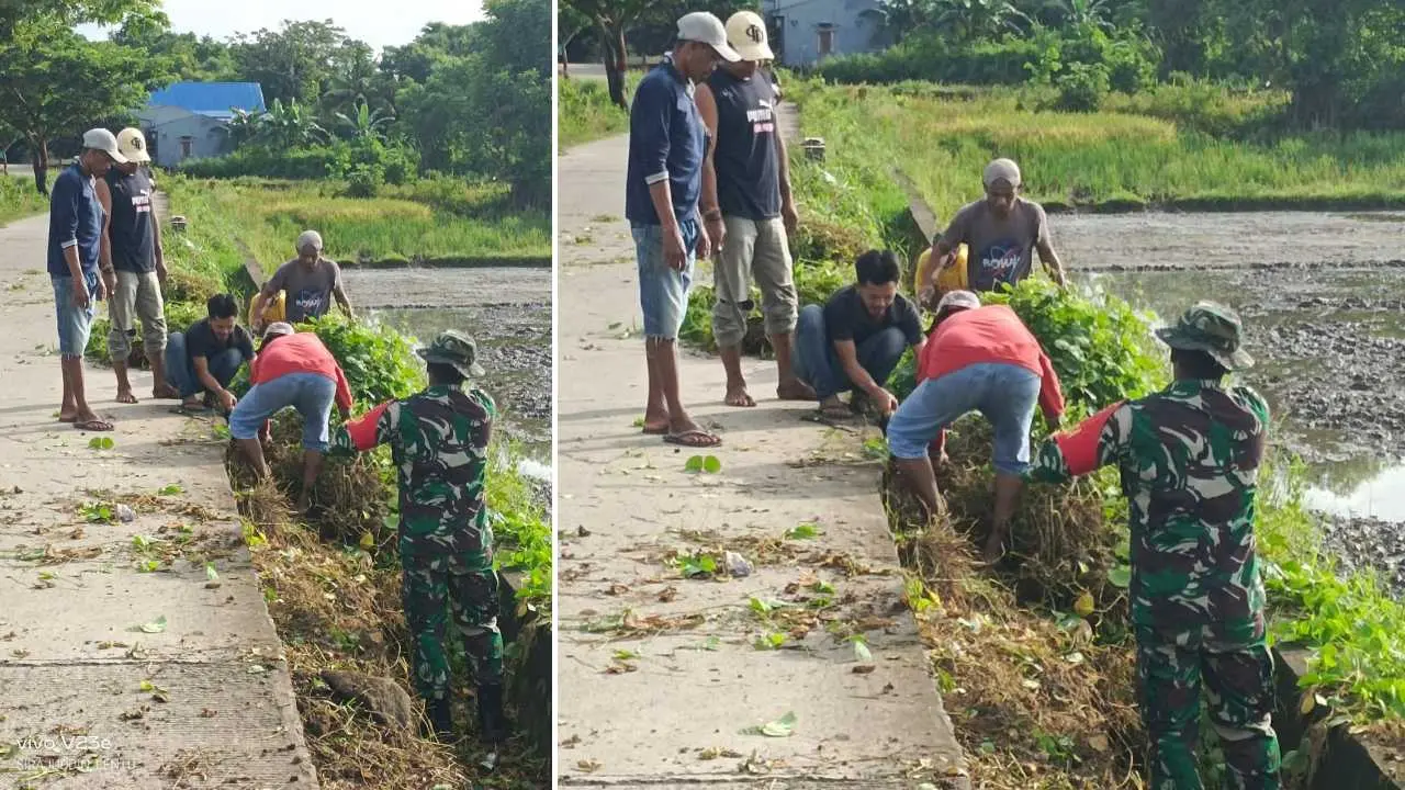 Percepat Musim Tanam Padi Kedua, Pemdes Lentu Jeneponto Gotong Royong Bersihkan Saluran Irigasi 2 Percepat Musim Tanam Padi Kedua, Pemdes Lentu Jeneponto Gotong Royong Bersihkan Saluran Irigasi