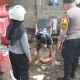 Kucing Mati Tertabrak, Warga Lapor Polisi dan Kubur Bersama