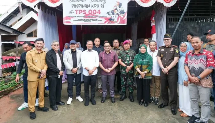 Gubernur Sulsel Tinjau Langsung Pemungutan Suara Ulang Pilkada Palopo