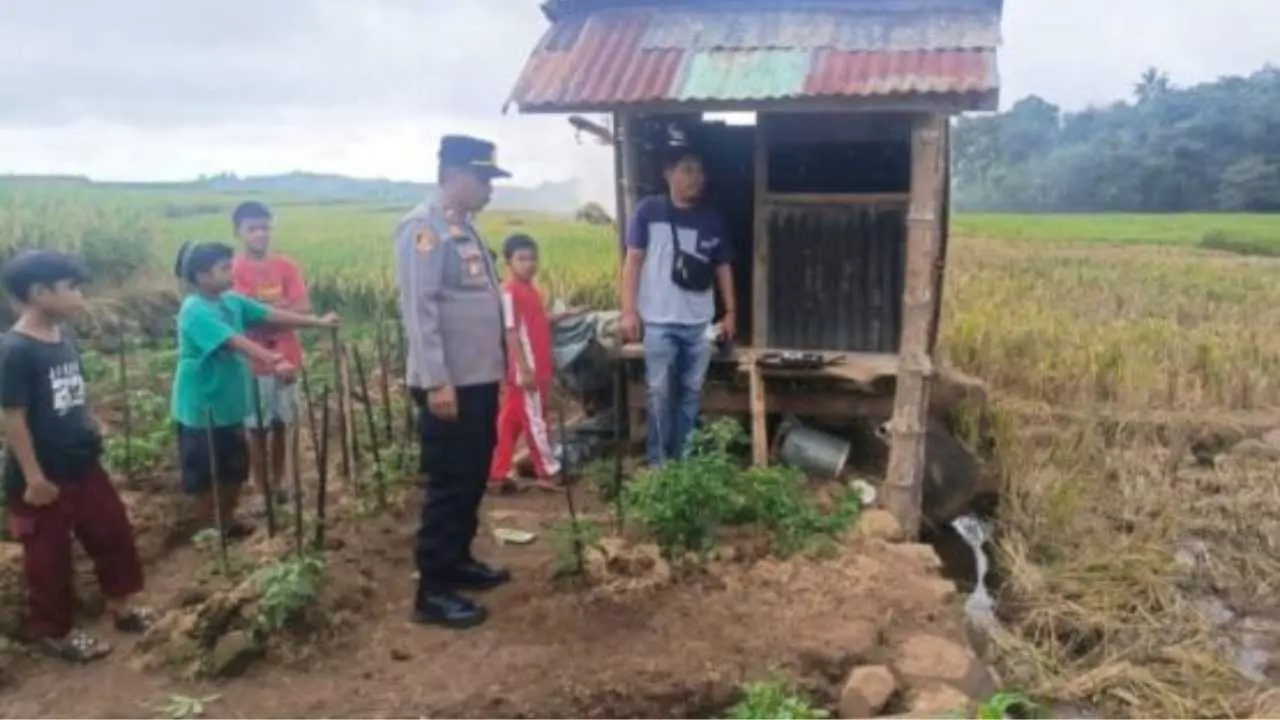 Warga Lebang Manai Utara Jeneponto Digegerkan Penemuan Bayi Perempuan di Tengah Persawahan